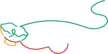 椀のイラスト